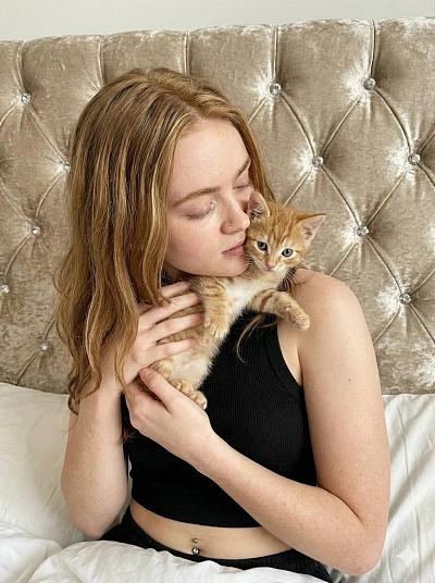 少女怀抱橘白小猫，亲昵互动，温馨卧室场景