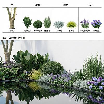 景观植物研究