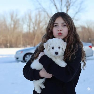 雪地里的可爱瞬间：女孩与小白狗