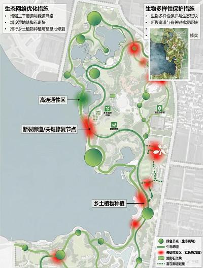 景观设计总平面植物生态网络图
