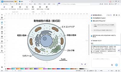 科学插图生成预设，用于绘制复杂生物结构示意图