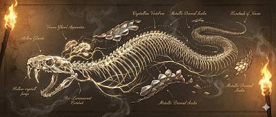 奇幻生物解剖结构图