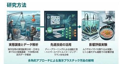 海洋微塑料污染研究解析