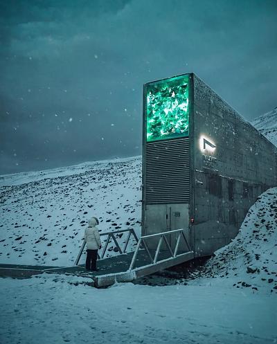 雪中未来 vault 奇景