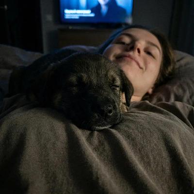 深夜卧床与犬共眠的温馨瞬间