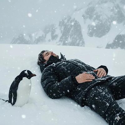 雪地里人与企鹅共眠的宁静瞬间