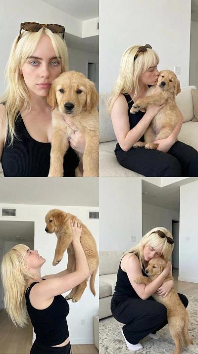 金发女子与金毛幼犬的温馨居家互动瞬间
